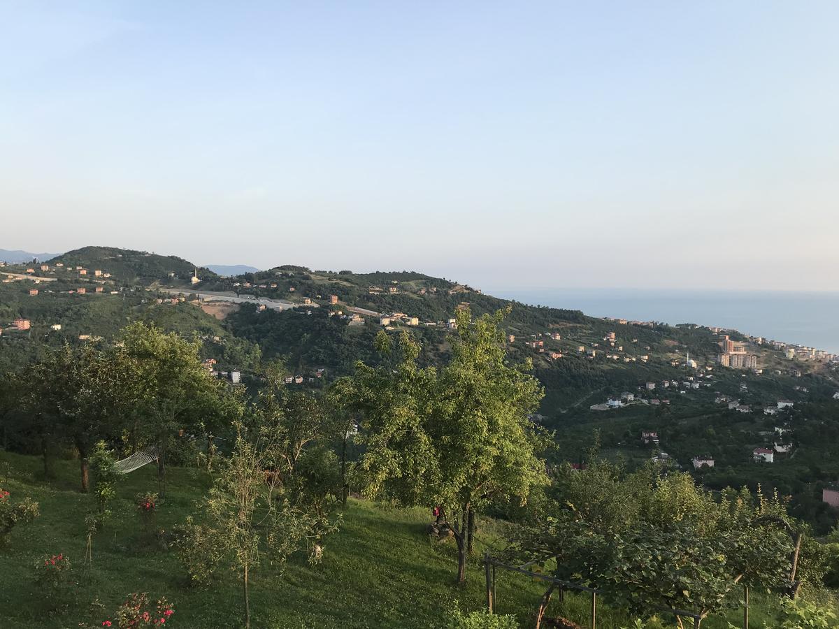 Sea & Nature Villa Hisar Trabzon Exterior foto