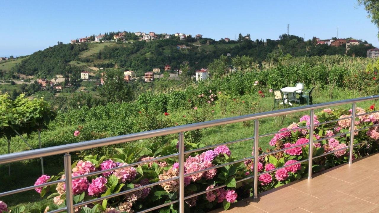 Sea & Nature Villa Hisar Trabzon Exterior foto